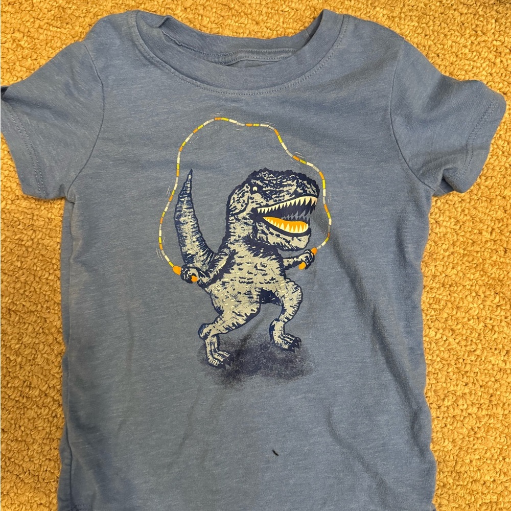 Toddler boys tshirts 2t